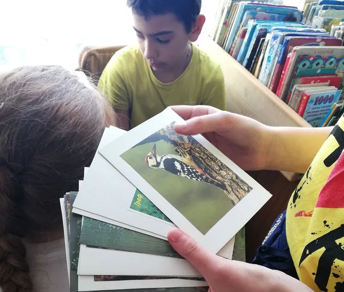 Экологическое ассорти «Умная шляпа»