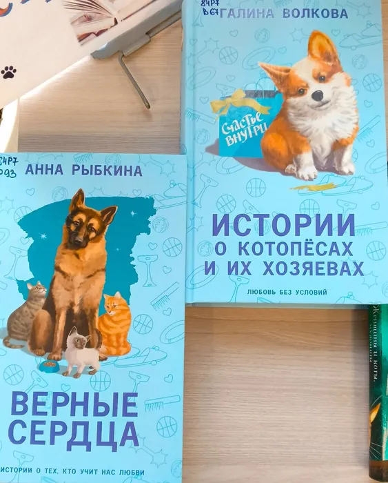 «Гуляют кошки по книжным страницам…»