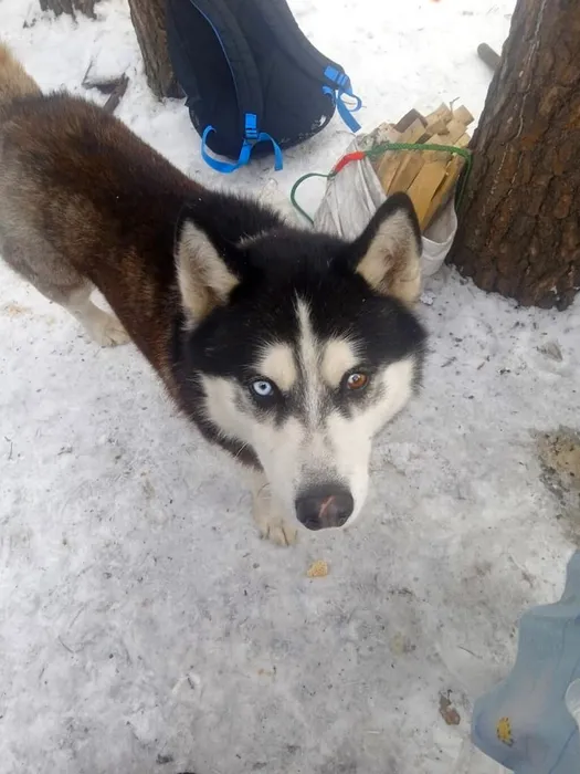 Сударушки прощаются с зимой
