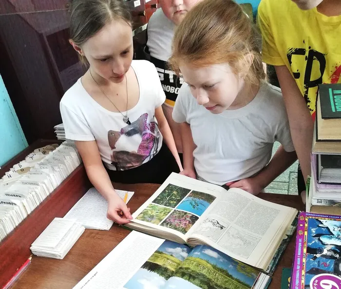 Экологическое ассорти «Умная шляпа»