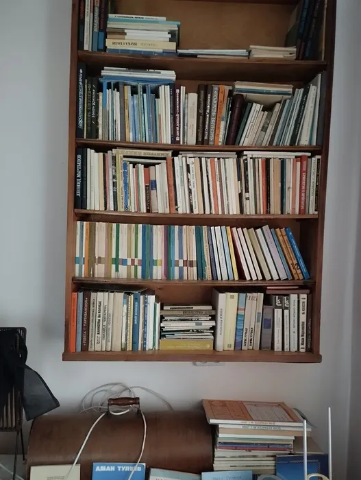 24.	Комната Екатерины Дубро. Книги повсюду окружали автора.