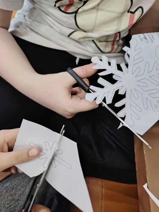 Галерея снежинок