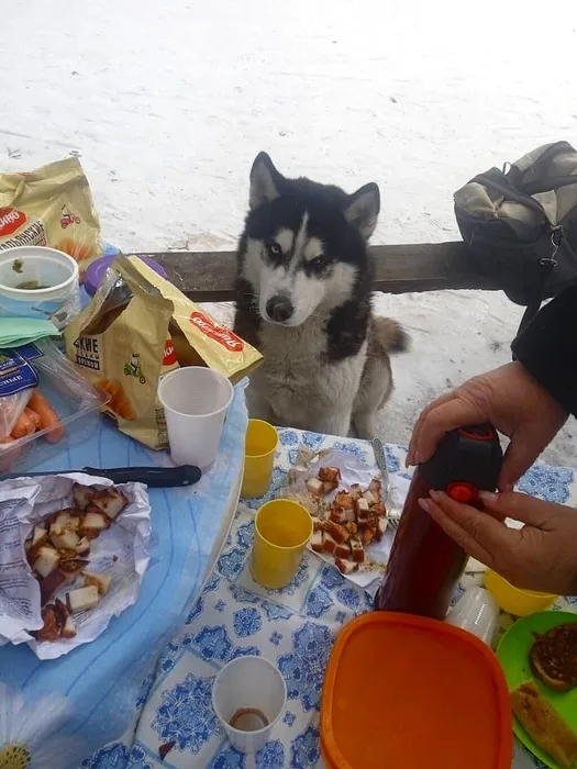 Сударушки прощаются с зимой