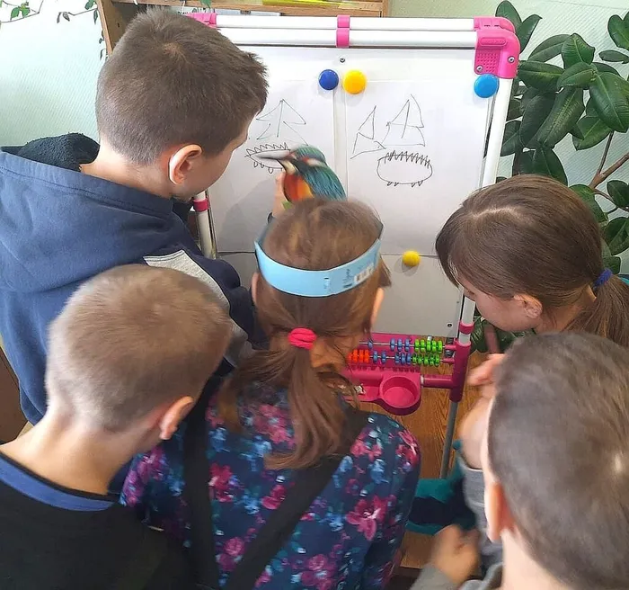 "Экологическое путешествие"