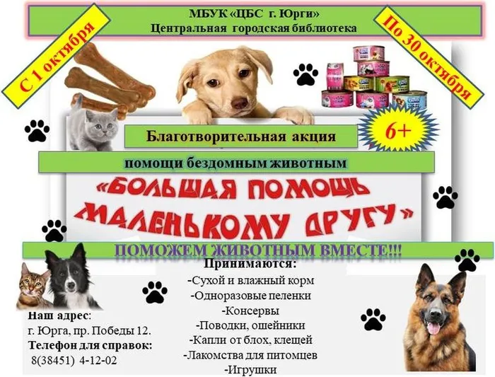 Благотворительная акция «Большая помощь маленькому другу»