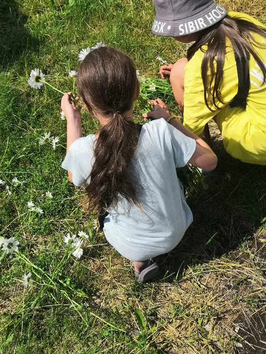 Конкурсно-игровая программа «Ромашек белый хоровод»