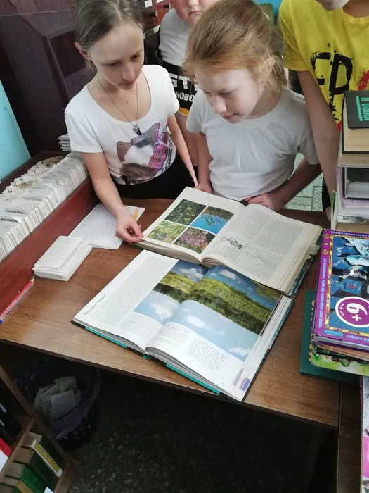 «Мой край: настоящее, прошлое, будущее…»