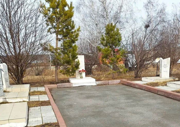 3 Фото В. Григорюк, апрель 2025 г.