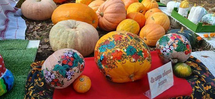 Фестиваль «Пачинская тыква»
