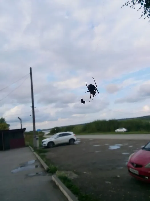 До свидания лето, до свидания!