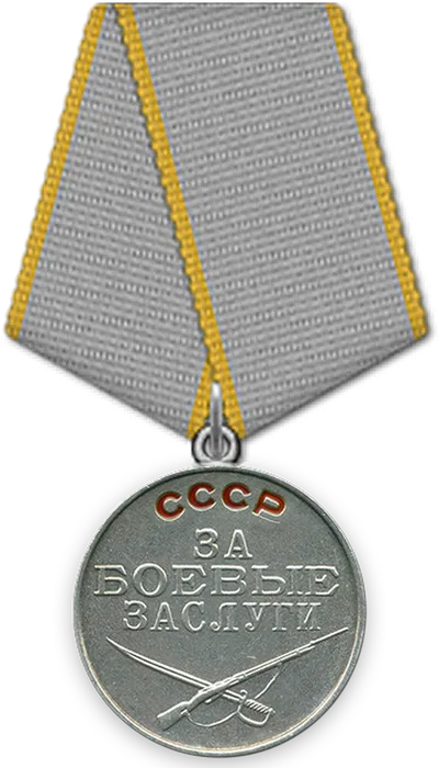 3 медаль За боевые заслуги